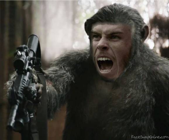 Bale of the Apes