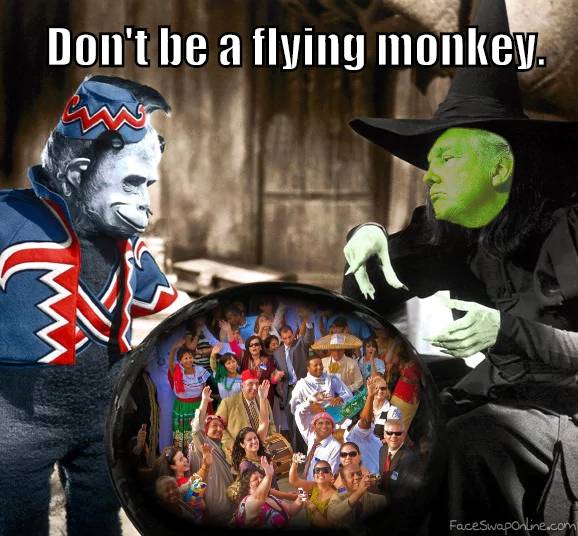 No Flying Monkeys