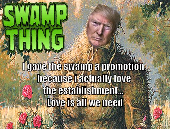 swamp drain??