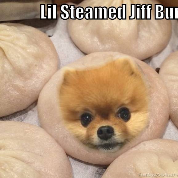 Lil Steamed Jiff Buns