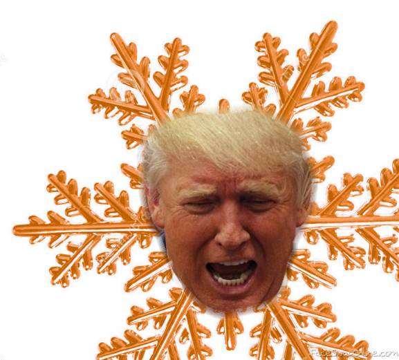 President Snowflake