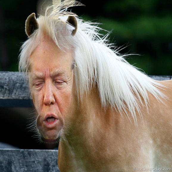 If Donald Trump was a horse