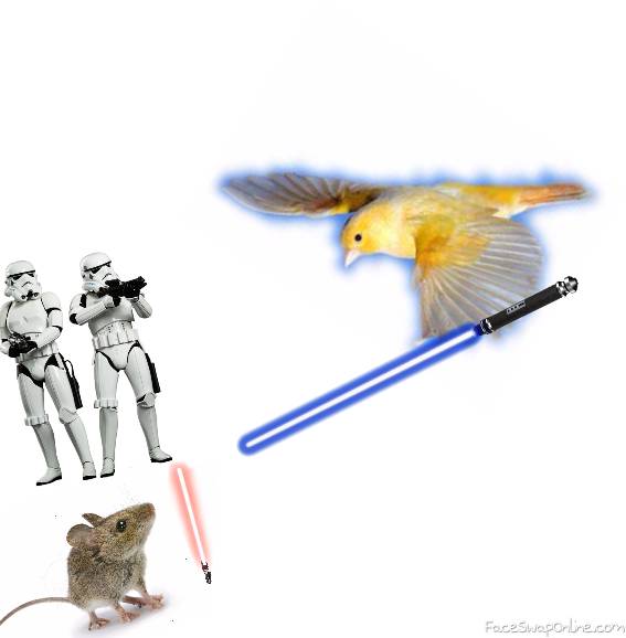 Jedi Bird Attacks Sith Mouse