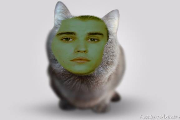 Justin The Kitty