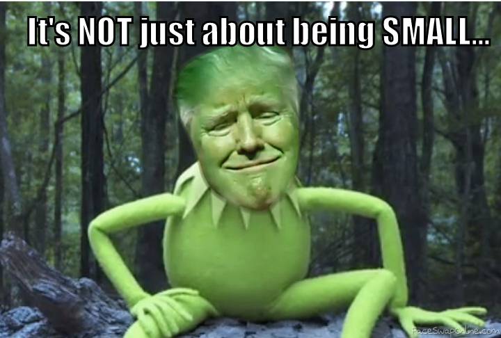 Kermit Trump