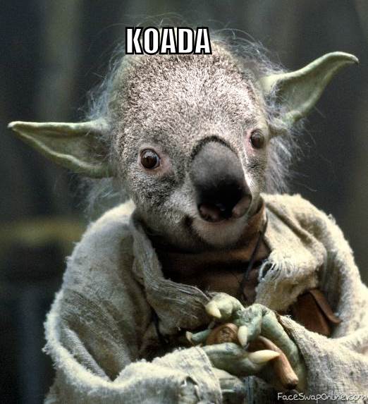 Koada