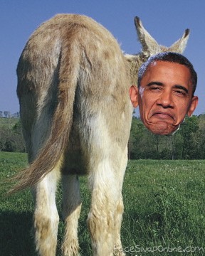 Image result for obama ass