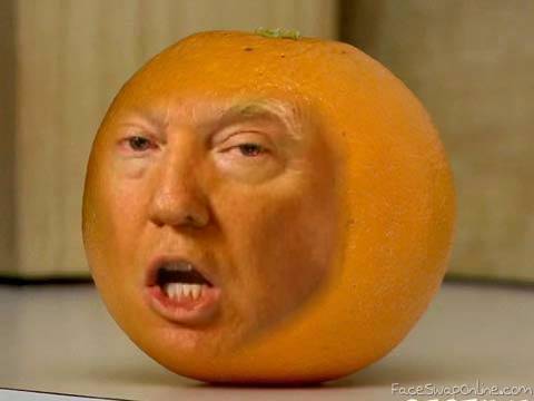 The Orange Politician