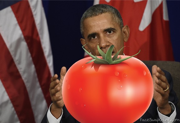 obama shows his tomato