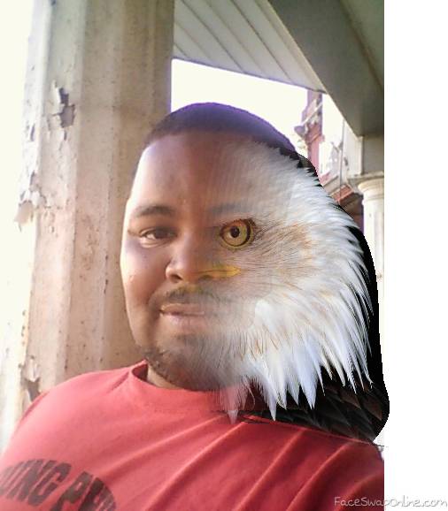 EagleMan