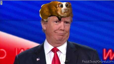 Donald and Glubschi