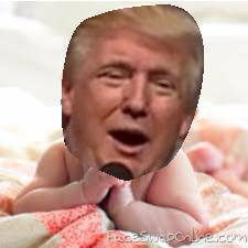 baby trump... looks just like he does now