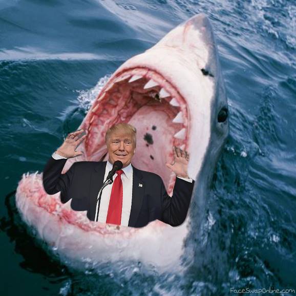 Trump in the ocean