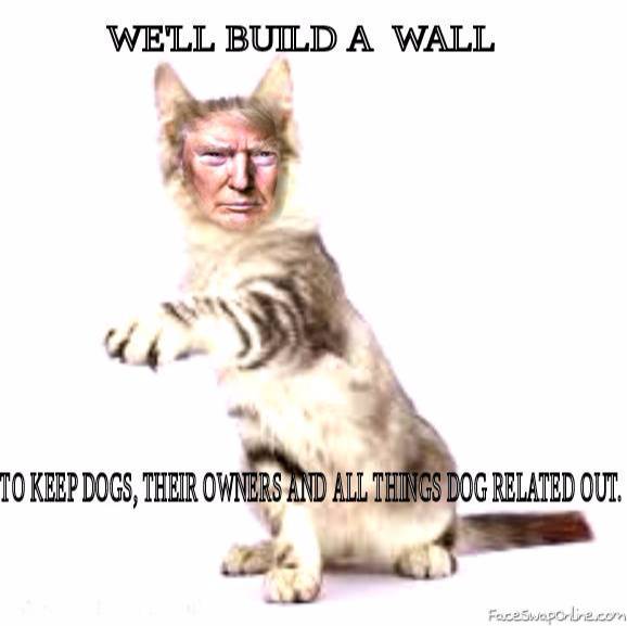 If Donald Trump got a kitten...