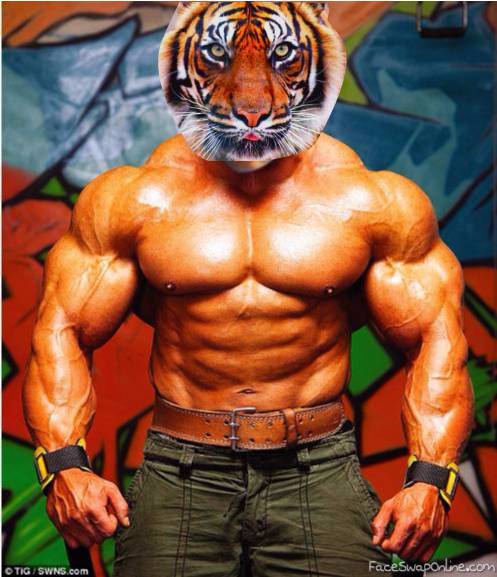 Strongest tiger