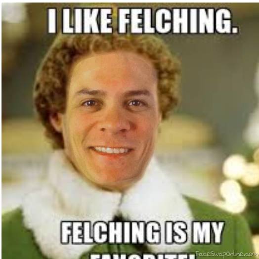 Felcher Face Swap Online