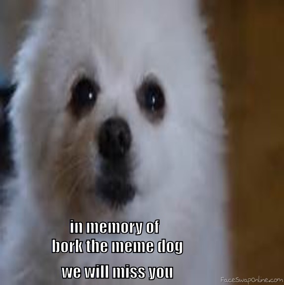 rest in peace bork the meme dog
