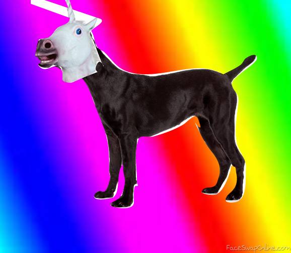 unicorn dog