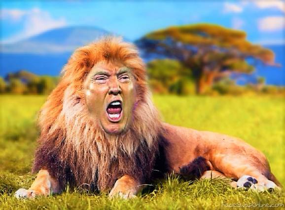 Lion Trump