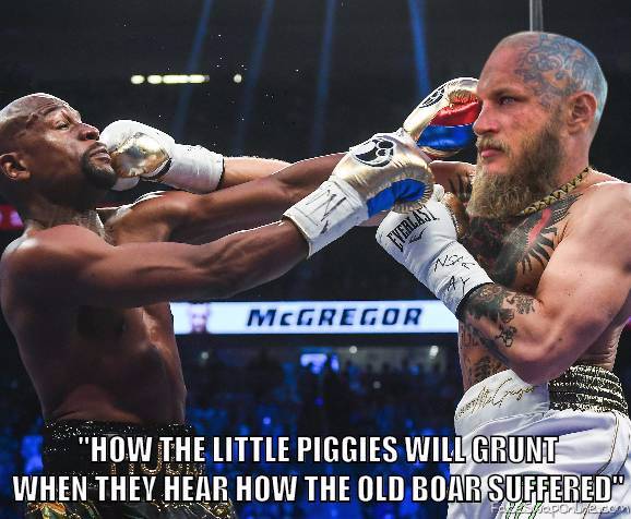 Mayweather VS Ragnar