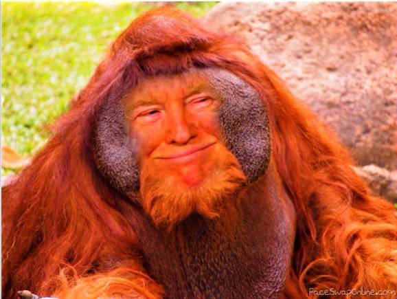 Trumpgaton | Face Swap Online