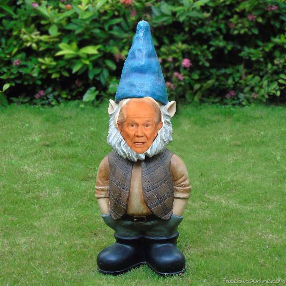 pat gnome