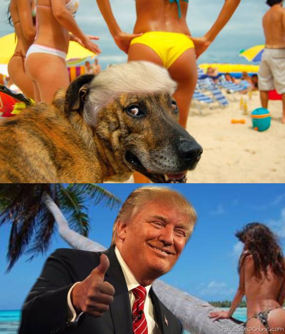 Trump Approves