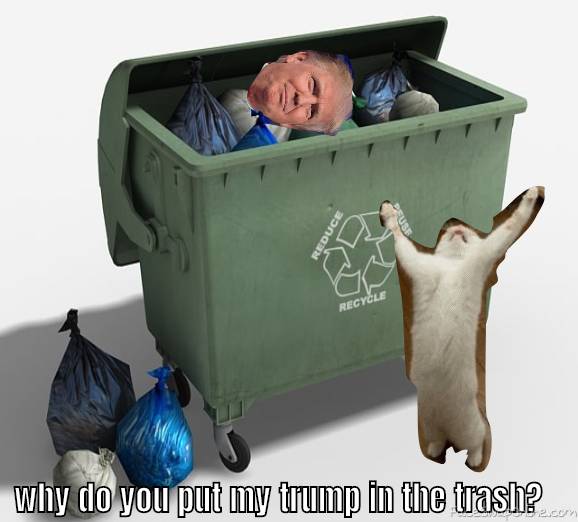 trump trash
