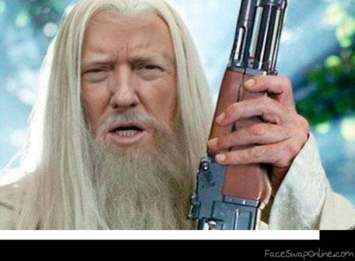 Gandalf Trump supports NRA