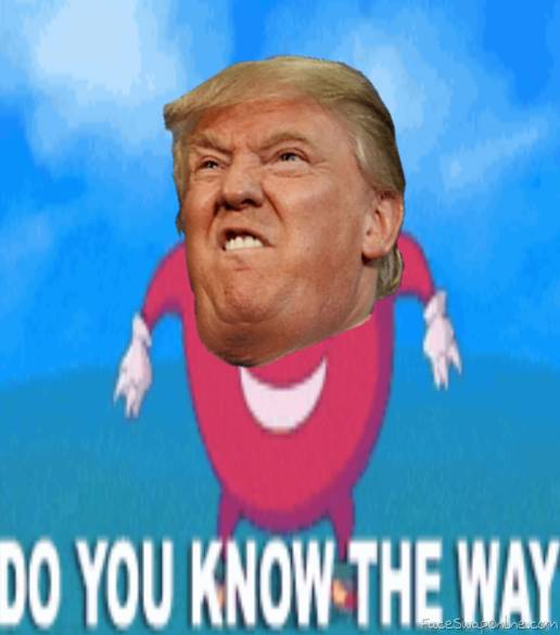 Trump knows the way