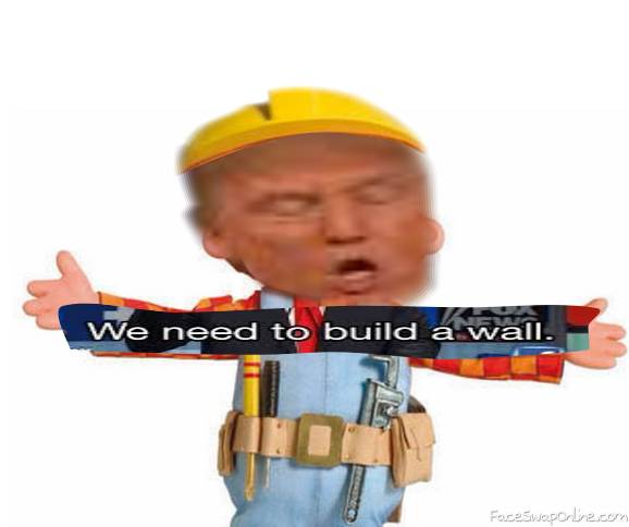 We need to build a wall