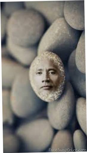 The Rock on a Rock