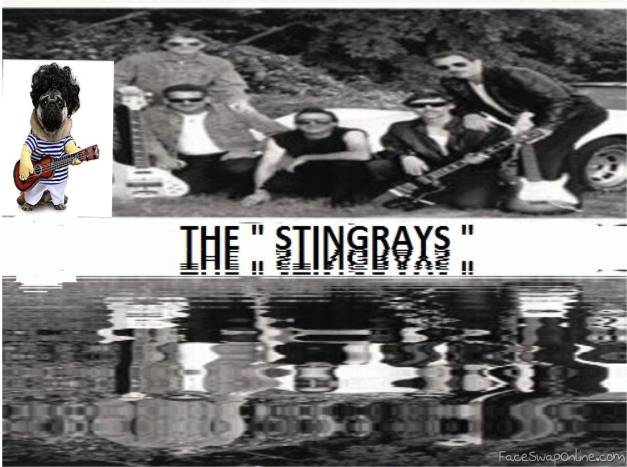 THE STINGRAYS