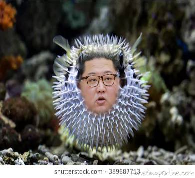 Pyongyang Pufferfish
