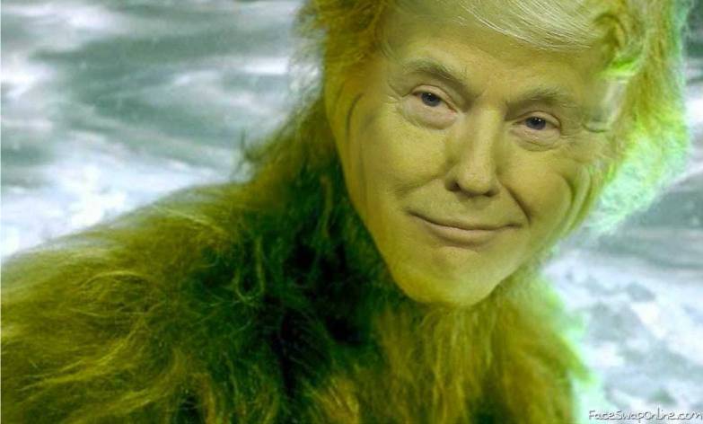 Grinch Trump