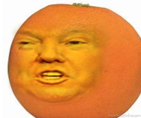 Annoying Orange And Trumps Child Face Swap Online