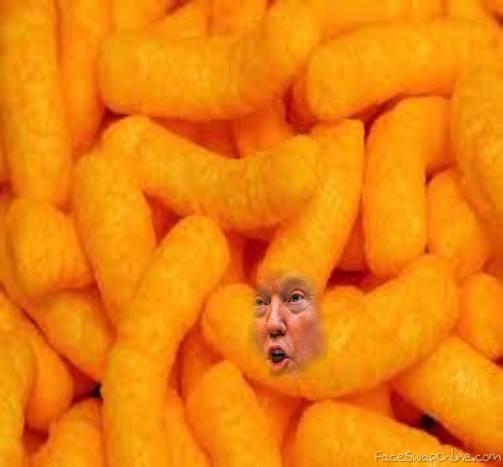 orange bastard