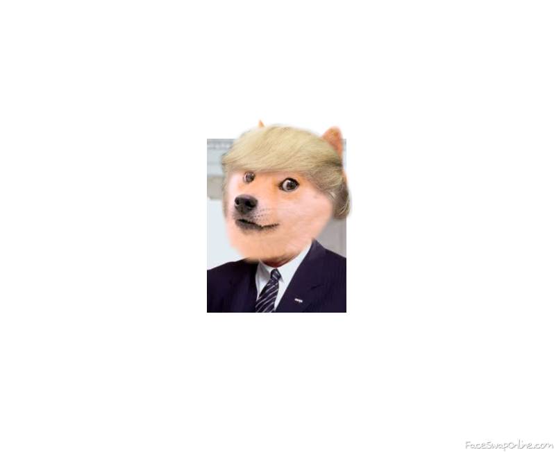 Doge Trump
