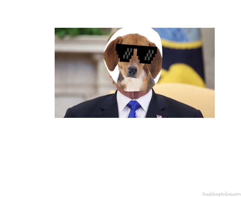 Trump dog