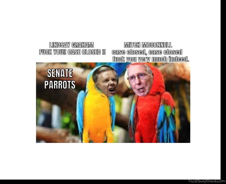 THE PARROT BROTHERS