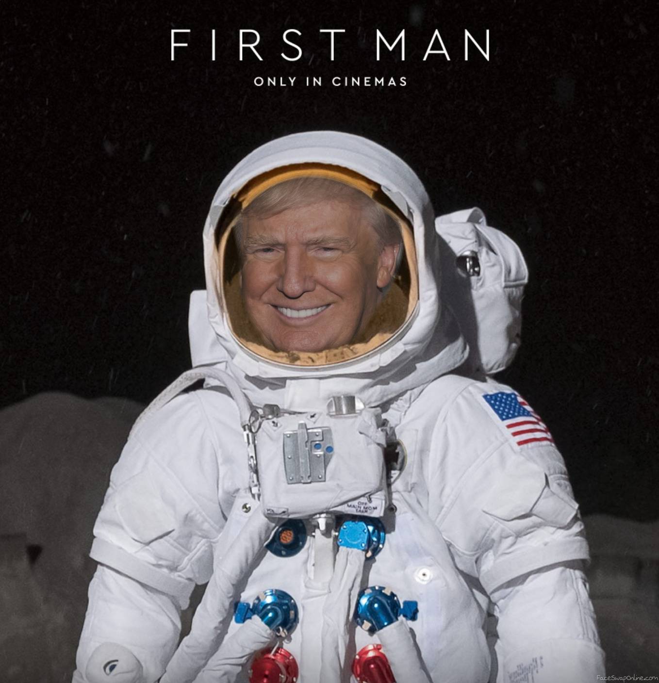 First Man On The Moon Face Swap Online