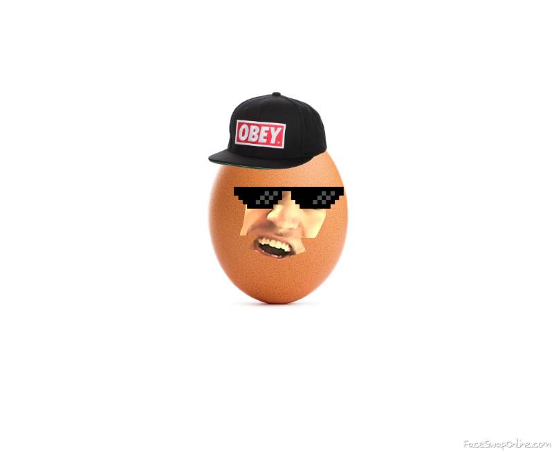 egg evolution