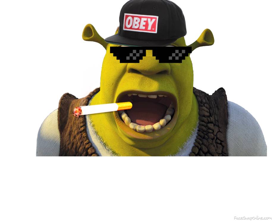 don't mess with Shrek