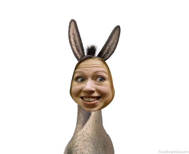 Donkey Clinton