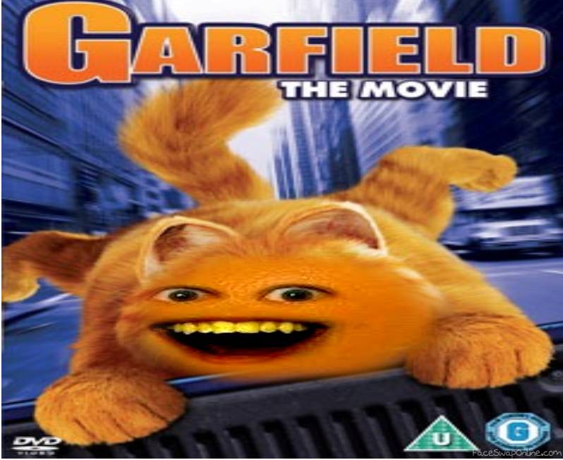 Garfield Movies Now On DVD!