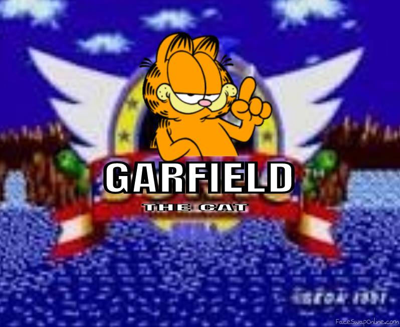 Garfield The Cat (1991)