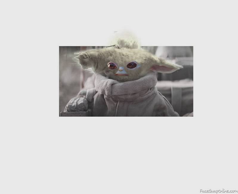 Yoda Cat 2