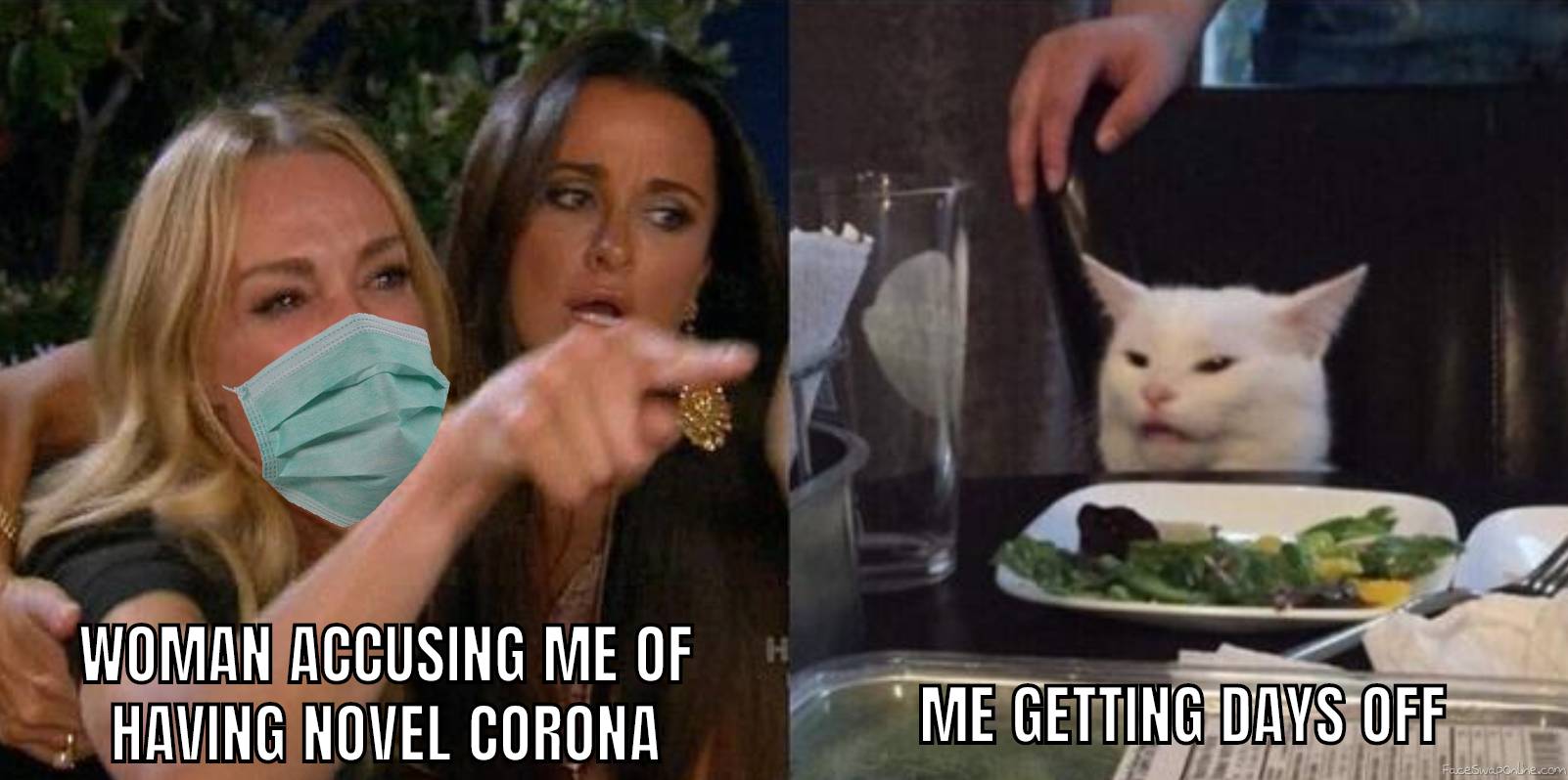 Woman yelling at corona cat