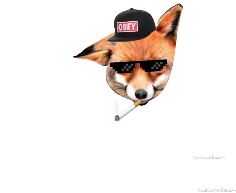 Obay the Fox
