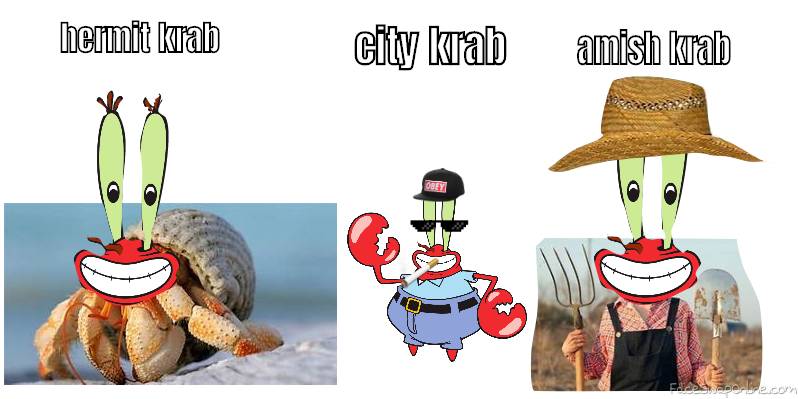 the different species of krabs